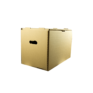 Container arhivare cu capac integrat, manere si pereti dubli 555*350*320mm - tip Esselte